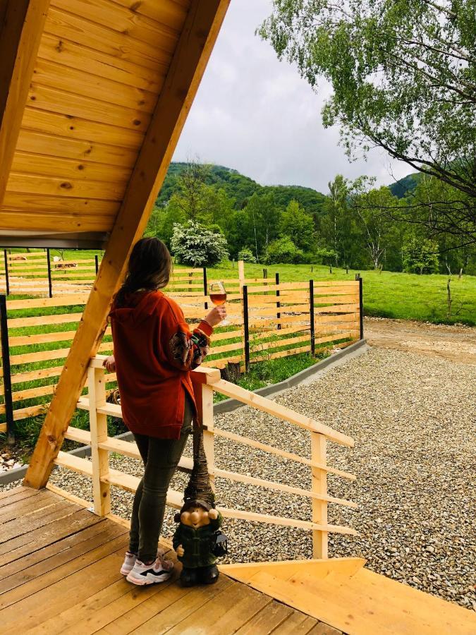 Lupeni  Zenith A-Frame Strajaヴィラ エクステリア 写真